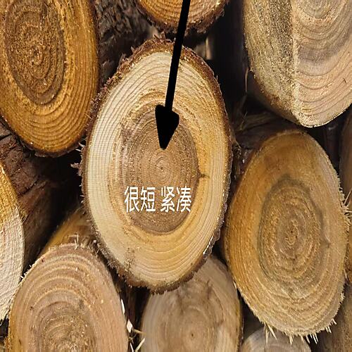 01年轮紧凑的.jpg